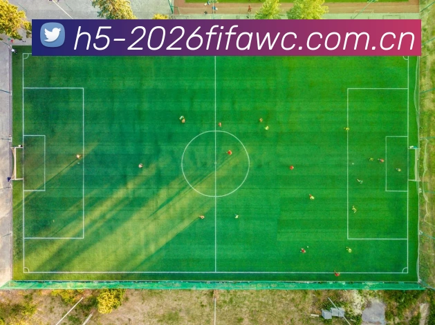 2026世界杯数据服务生态